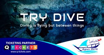 TRY DIVE