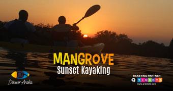 Sunset Mangrove Kayaking