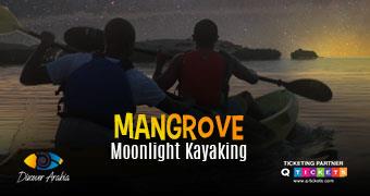 Moonlight Mangrove Kayaking