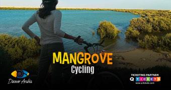 Mangrove cycling tour