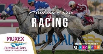ARABIAN HORSE RACING (4 HRS)