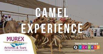 CAMEL  ACTIVITY (4 HRS)